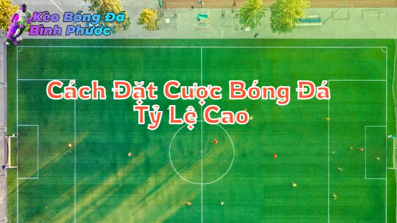 Cách Đặt Cược Bóng Đá Tỷ Lệ Cao Tại Bình Phước 2024